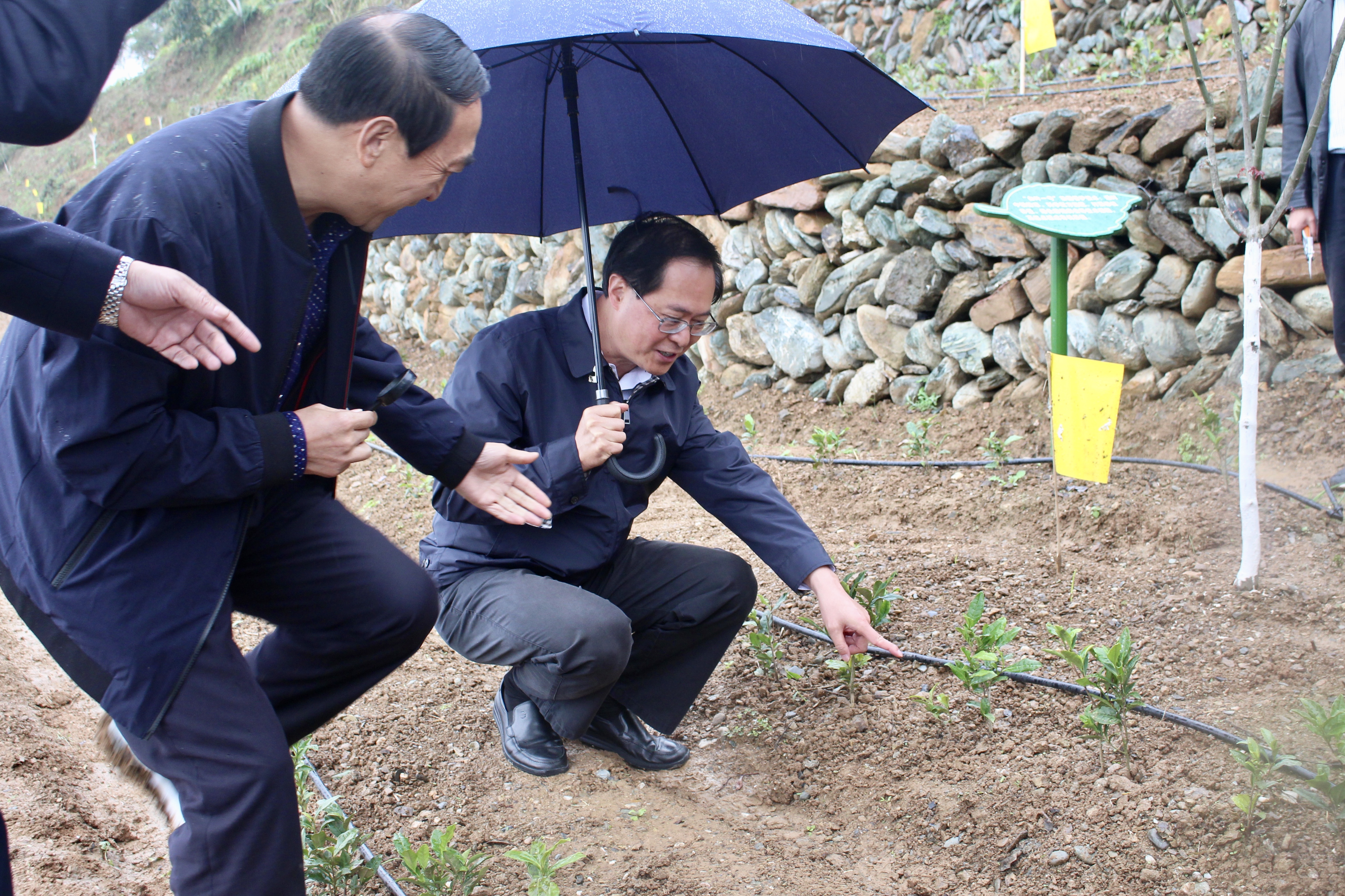 浙江省委书记车俊赴海博论坛集团“白叶一号”四川青川合作基地调研